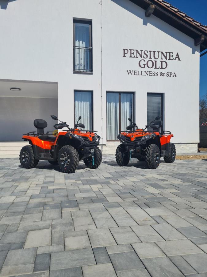 Pensiunea Gold Wellness&Spa Chiscau Exterior photo